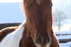 241853445_639555827066222_8133052341238123872_n